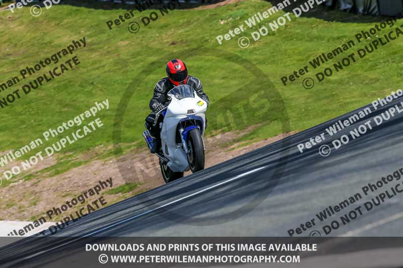 Oulton Park 20th March 2020;PJ Motorsport Photography 2020;anglesey;brands hatch;cadwell park;croft;donington park;enduro digital images;event digital images;eventdigitalimages;mallory;no limits;oulton park;peter wileman photography;racing digital images;silverstone;snetterton;trackday digital images;trackday photos;vmcc banbury run;welsh 2 day enduro